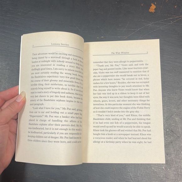 Lemony Snicket A Series of Unfortunate Events The Wide Window paperback book - Picture 6 of 12